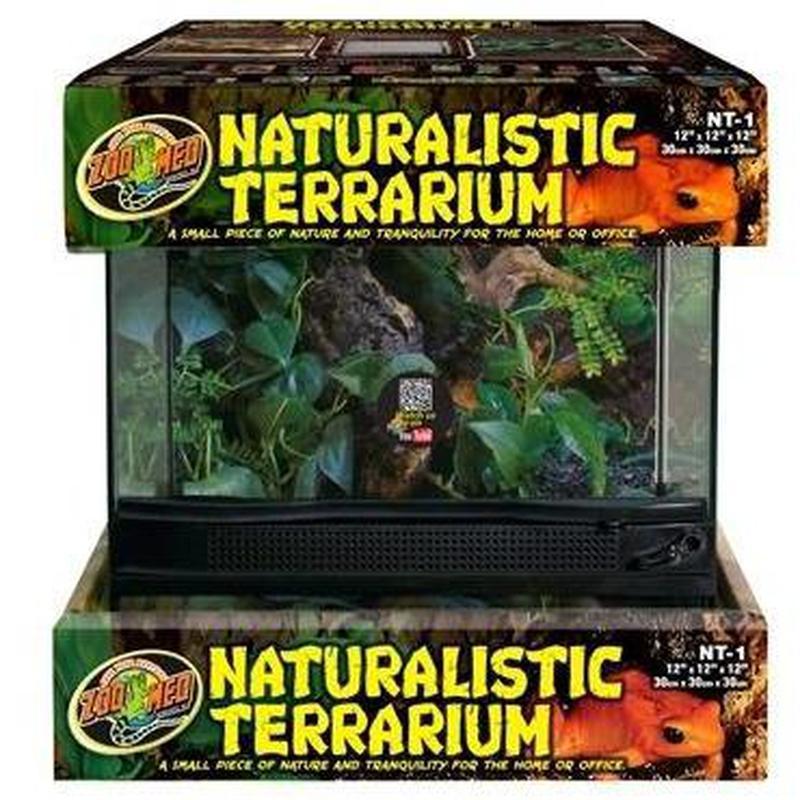 naturalistic terrarium  30x30x30cm