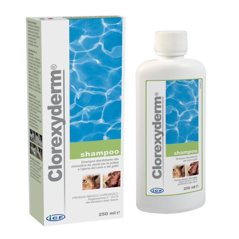 clorexyderm shampoo 250ml