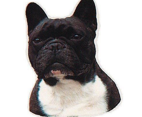pet sticker -  bulldog francese