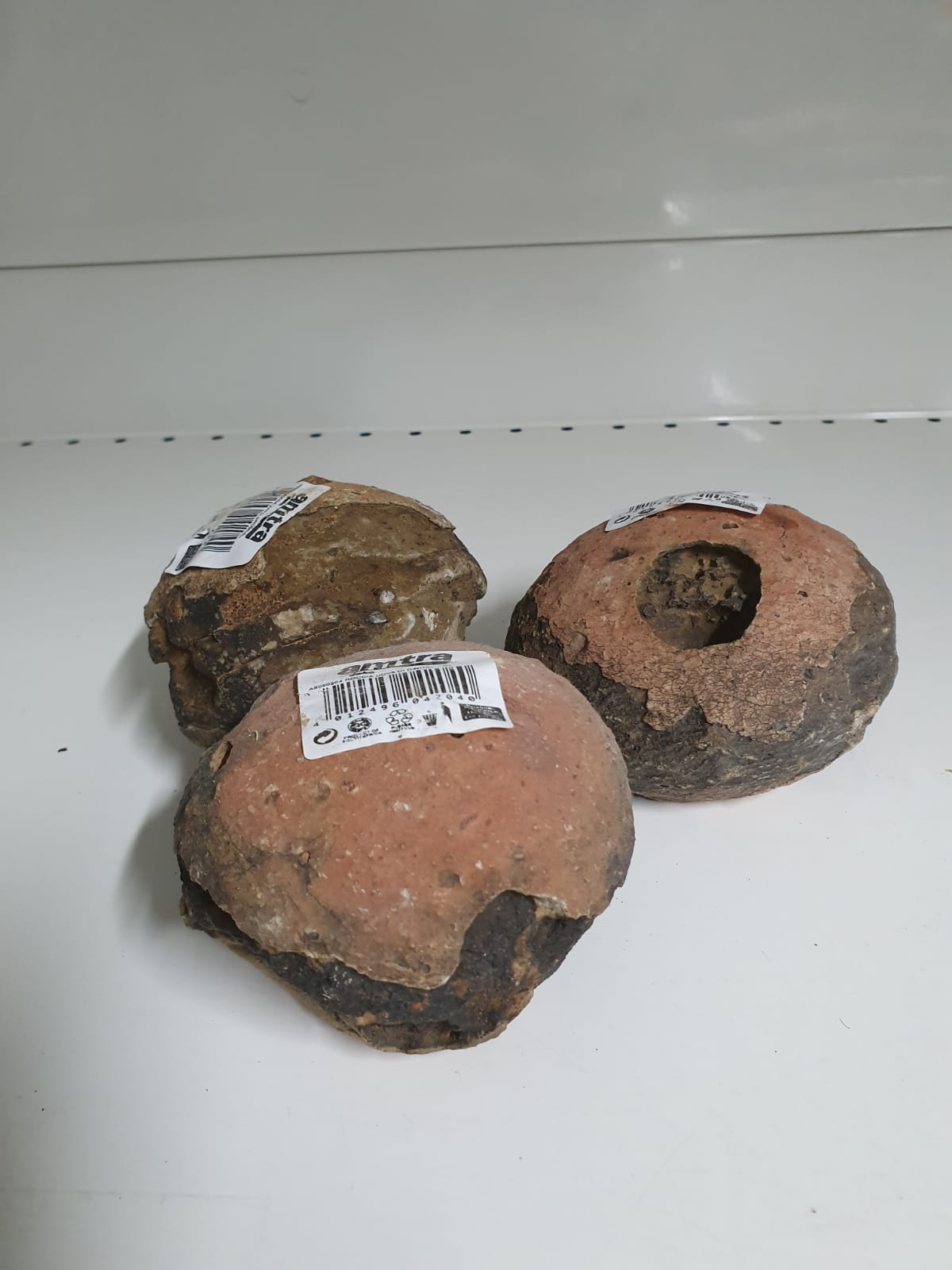 fossili di uova di dinosauro 7.99 € a pz