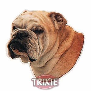 pet sticker - bulldog inglese