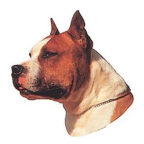 pet sticker -  am. staffordshire terrier